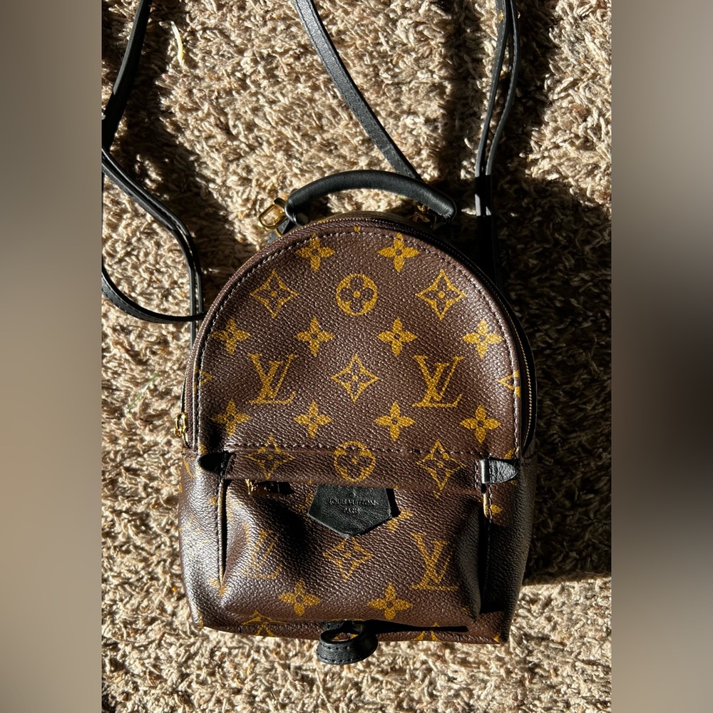 Louis Vuitton Mini Palm Springs backpack